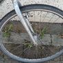 Bike Giant Expression Image 2