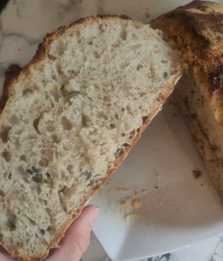 sourdough starter