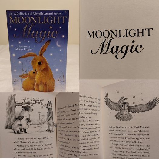 Moonlight Magic, Story Book