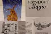 Moonlight Magic, Story Book