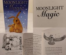 Moonlight Magic, Story Book