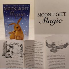 Moonlight Magic, Story Book