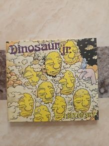 Dinosaur Jr CD  - I Bet On Sky