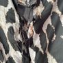 Pieces ladies top size 14 to 16 New Image 4