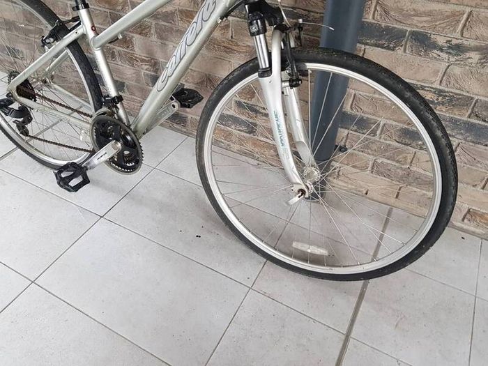 ladies bike( can deliver)