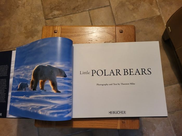 Little Polar Bears by Thorsten Milse.