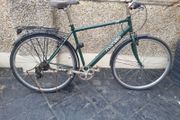 bike needs fixing