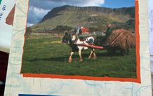 In The Shadow of Benbulben- Joe Mc Gowan