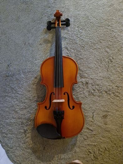 violin