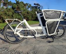 Riese and Muller Load cargo e-bike - Bosch powered