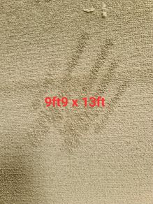 carpet 9ft9 x 13ft