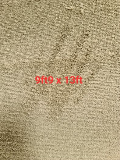 carpet 9ft9 x 13ft