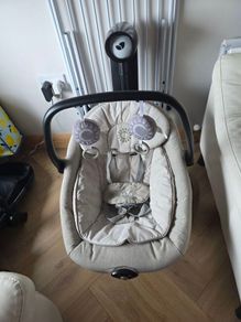 Joie Serina 2in1 Swing Rocker