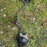 Mercedes W213, W176 Parts Image 8