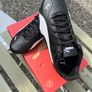 Puma Image 2