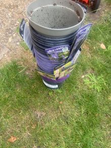 plant pots