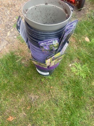 plant pots