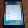 Apple iPad Mini 4 128GB leixlip area Image 2