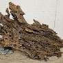 Dragon Wood Image 2
