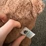 Jellycat Woody Bear Image 4