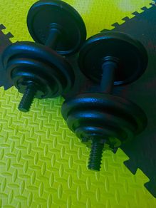 Cast iron dumbbells