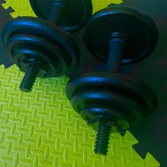 Cast iron dumbbells