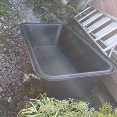 dog bath /ice bath