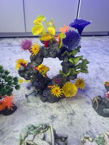 Aquarium Ornaments