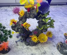 Aquarium Ornaments