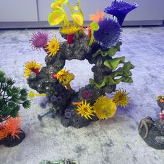 Aquarium Ornaments
