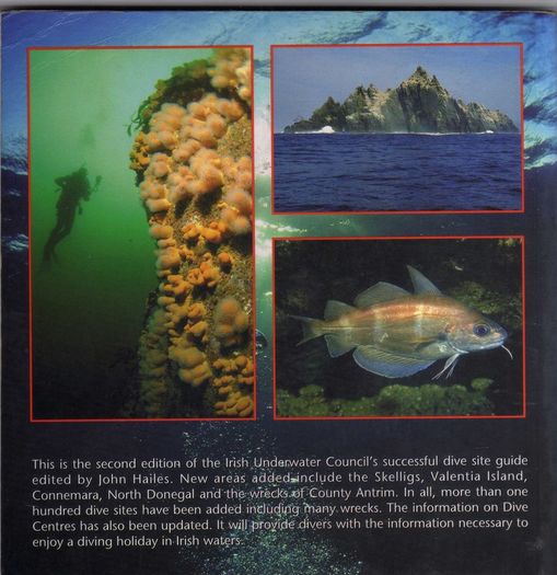 Underwayer Ireland - Guide To Irish Dive Sites