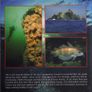 Underwayer Ireland - Guide To Irish Dive Sites Image 2