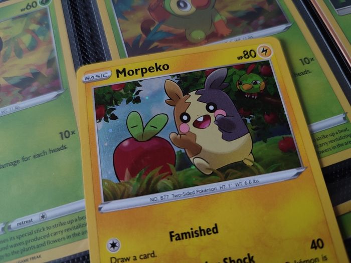 Morpeko ! Promo ! Holo ! Sword and Shield Era ! 2020 ! Pokemon Card !