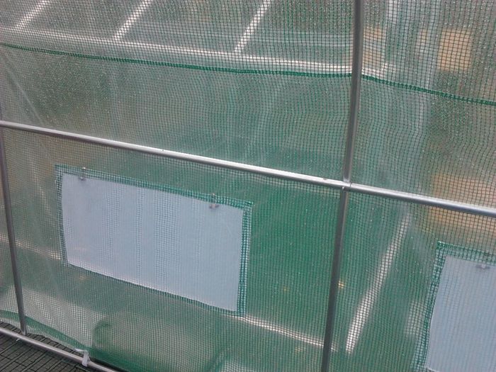 Polytunnel 4m X 2m Greenhouse