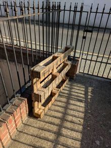 wood pallet
