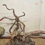 Red Moor Wood Aquarium Image 2