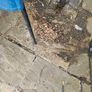 garden shredder Image 2