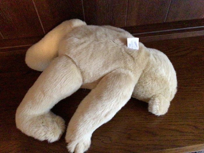 North American bear company family of bears Collectable