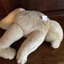 North American bear company family of bears Collectable Image 6
