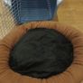 dog carrier box and small bed Image 5
