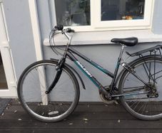 Hybrid Bicycle