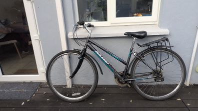 Hybrid Bicycle