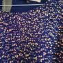 ladies sparkly top size 16 Image 2