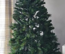 christmas tree