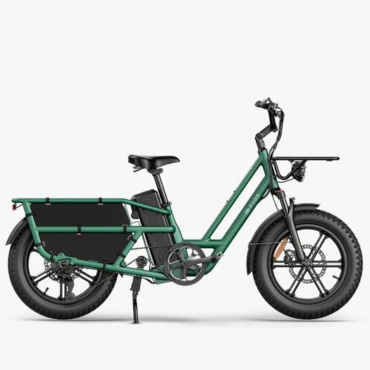 FIIDO T2 Longtail Cargo Electric Bike