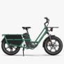 FIIDO T2 Longtail Cargo Electric Bike Image 2