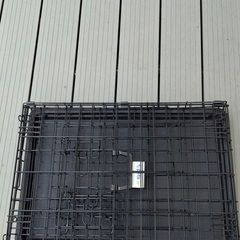 dog crate