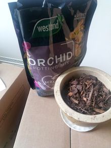 Orchid Potting Mix