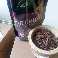 Orchid Potting Mix