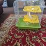 Small Hamster cage with accessories Image 4